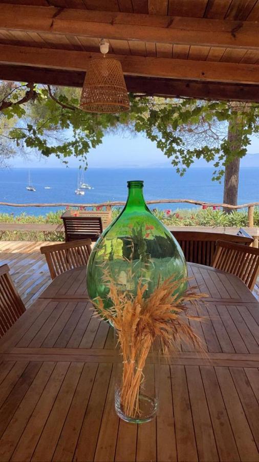 Villa Terra Casanova Pieds Dans L'Eau A 20 Mn D Ajaccio Villanova Exterior foto